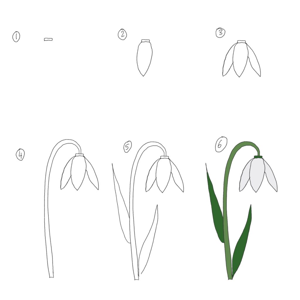 Picture tutorial of drawing a snowdrop. Part of an article: 12 easy doodles for your first bullet journal year