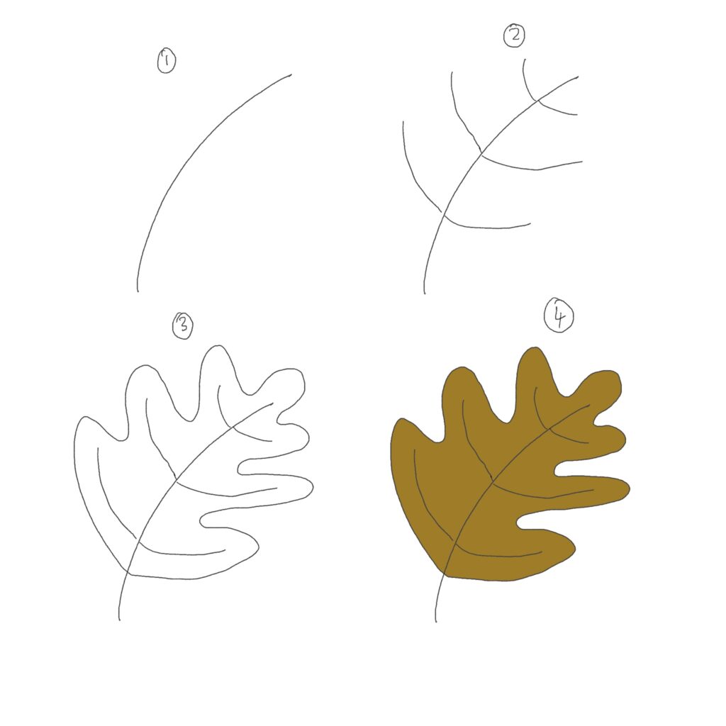 picture tutorial of drawing oak leaf doodle