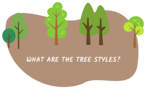 Picture of a brown blob with some tree graphics and then a text overlay that says what are the tree styles?